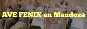 AVE FENIX en Mendoza
