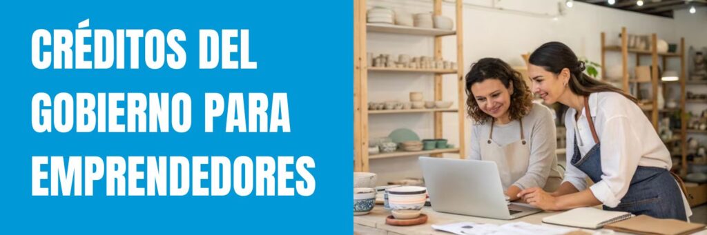 Créditos del Gobierno para Emprendedores